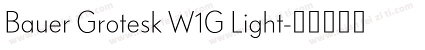 Bauer Grotesk W1G Light字体转换